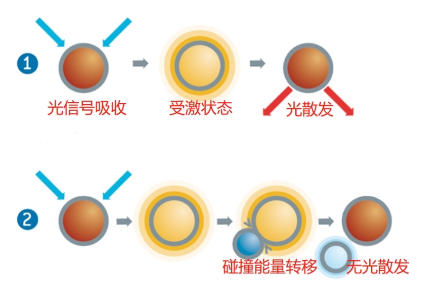 溶解氧和PH值测量仪(图1)