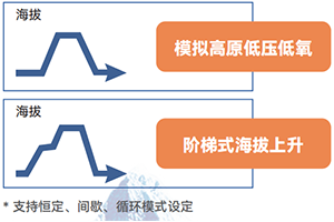 2a1f4d215ed2ae509cc8ede7f0ae7ad7.png